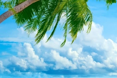 Tropical Beach Resorts HD Desktop Wallpapers : Widescreen : High ...