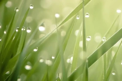 Mobile Walls On Pinterest