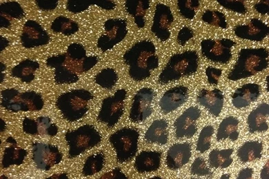 Pic > Cheetah Print Backgrounds For Iphone