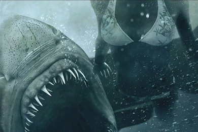 Shark Night Computer Wallpapers, Desktop Backgrounds