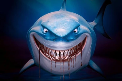 Shark Wallpapers Image 2072 Backgrounds Edition