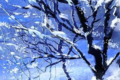 Free Winter Wallpapers Hd ~ Toptenpack.com