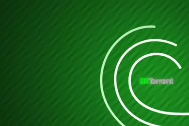 Download Torrents In The Cloud For Free With Bitport.io