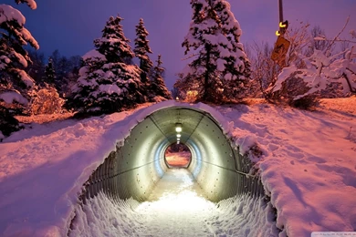 Other: Snow Tunnel Winter Lights Trees 1snow Phone Wallpapers For ...