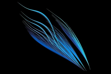 Blue Torrents Exoteric Roach Org Hd Wallpapers   (