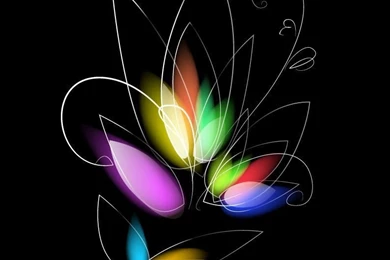 Abstract Colorful Floral On Black Backgrounds Vector