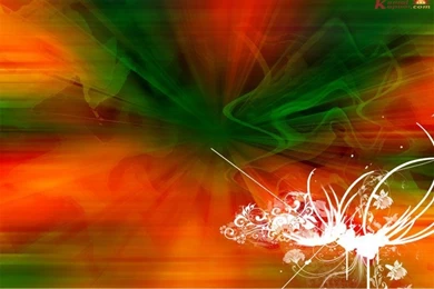 Solid Color Wallpapers