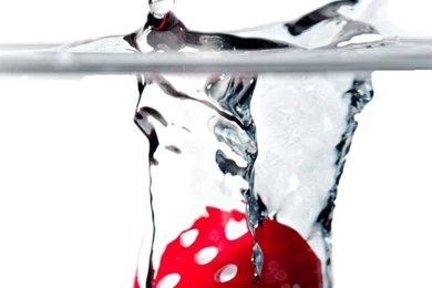 iPhone 5   Game/Dice   Wallpapers ID: 600571