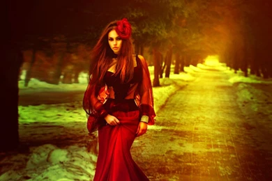 RED PASSION WALLPAPER   (