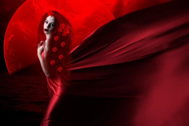 RED PASSION WALLPAPER   (