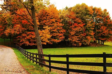 Gallery For   Autumn Hd Wallpapers