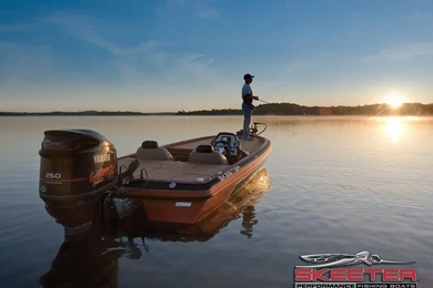 Skeeter :: Wallpapers