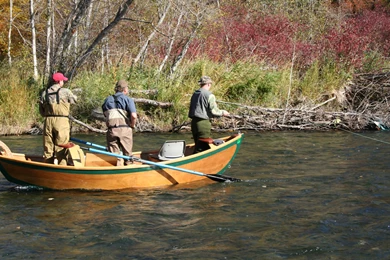 FISHING Fish Sport Water Fishes River Boat Wallpapers