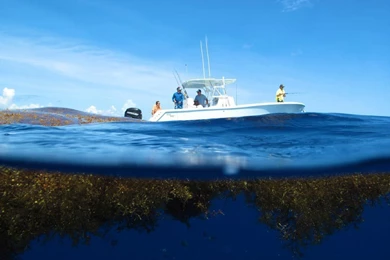 Outboard Center Console Boat / Twin engine / Sport fishing / With ...