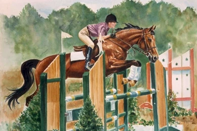 Wallpapers Of Horse Jumping