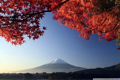 Autumn, Mount Fuji, Japan HD Desktop Wallpapers : High Definition ...