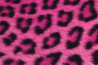 Pink Fur Wallpapers   Wallpapers HD Fine