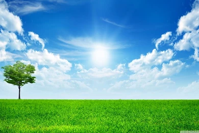 Green Nature HD Desktop Wallpapers : Mobile : Dual Monitor