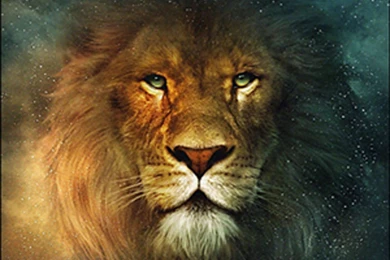 Top Cool Lion Wallpapers Hd Images For Pinterest