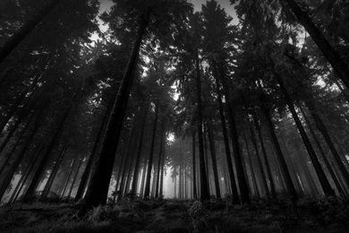 Contact – CATALYST Series