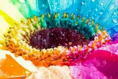 Wallpapers Samsung Galaxy A5 720 1280 Awesome Hi Quality