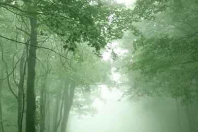 iPhone 5 Wallpapers HD   Retina Ready, Stunning Wallpapers