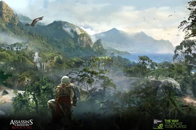 Download The Assassin's Creed IV Black Flag Wallpapers