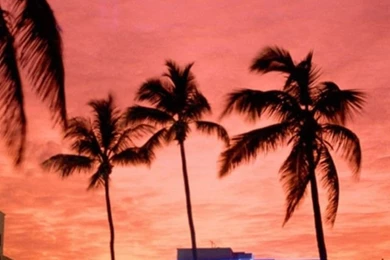 Miami Wallpapers HD Backgrounds Download Mobile iPhone 6s Galaxy ...