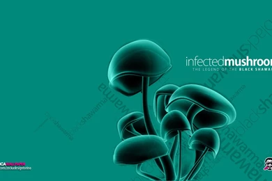 Browsing Wallpapers On DeviantArt