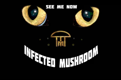 Infected Mushroom   See Me Now [HQ Audio]   YouTube