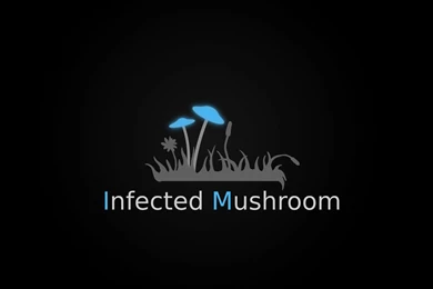 INFECTED MUSHROOM Psychedelic Trance Electro House Electronica ...