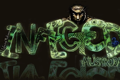 Infected Mushroom – The Messenger – Treasure Of Sound