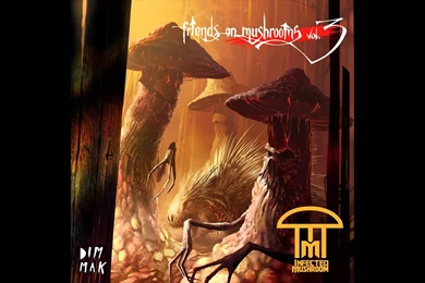 Infected Mushroom   Kipod (HD 1080p)   YouTube