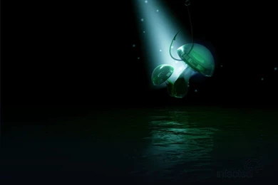 Infected Mushroom By Lysa Bell On DeviantArt