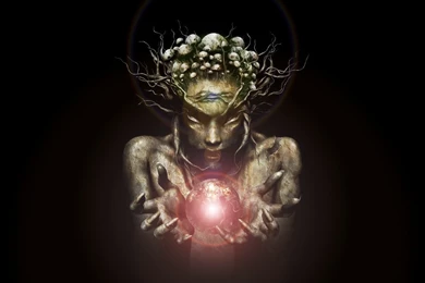 Infected Mushroom IM The Supervisor Sur Héberger Image