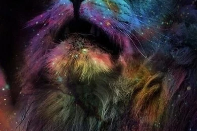 The Galaxy Lion Is My Backgrounds For My Phone, And One Of My ...
