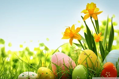 Happy Easter 2014 HD Desktop Wallpapers : High Definition ...