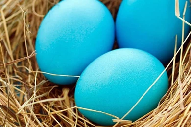 1080x1920 Easter Holiday Wallpapers HD