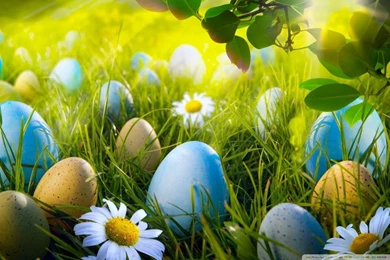 Easter Egg Hunt HD Desktop Wallpapers : High Definition ...