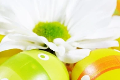 640x960 Easter Eggs Iphone 4 Wallpapers