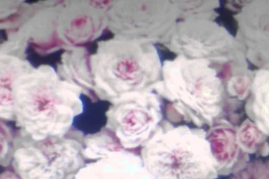 Crystal Castles "TELEPATH" Official   YouTube