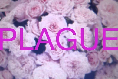 Crystal Castles "PLAGUE" Official   YouTube