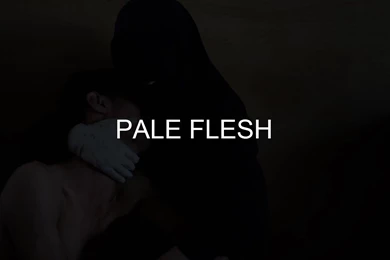 CRYSTAL CASTLES   PALE FLESH (LYRICS)   YouTube