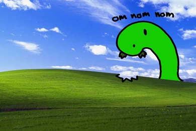 Funny Bliss Windows Wallpapers