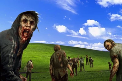 Funny Bliss Windows Wallpapers