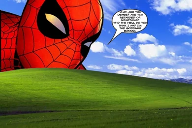 RePin Image: Funny Windows . On Pinterest