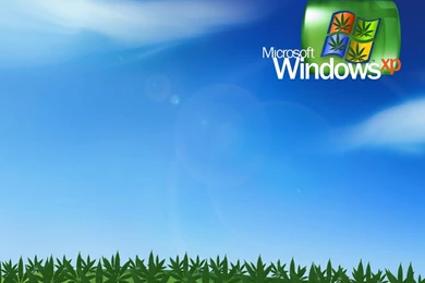 Free HD Weed Wallpapers