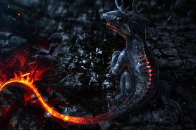 Download 3D Lava Dragon Baby Wallpapers For Samsung Galaxy Tab