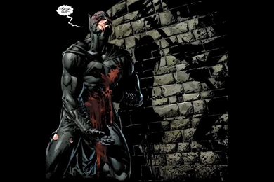 How About A Little Love For David Finch?! New 52 Batman: The Dark ...