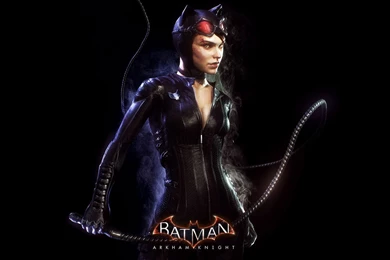 New Catwoman In Batman Arkham Knight Wallpapers